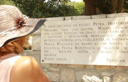 Apartments Salihbegovic - Foto 7