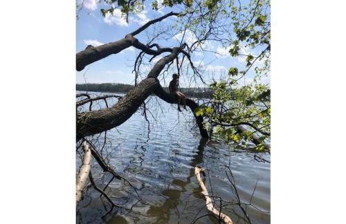 Holiday home on Lake Ruppin - Foto 12