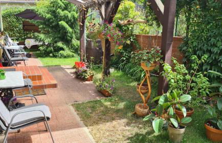 FeWo "Arte" am Wandlitzsee - Foto 7