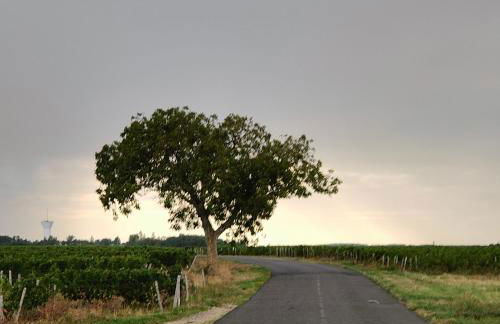 La Maison Bleue de Husseau Ancienne ferme semi-troglodytique 18e siècle - Foto 42