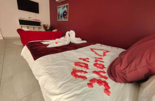 Un amour passionnel,love room,15 min du zoo,balnéo XL privatisée et disponible toute l'année ,piscine couverte et chauffée d'avril à fin septembre à partager avec d'autres logements et elle est privatisée de 20h à 22h - Foto 30