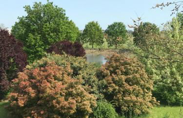 Residence Villa Masi - Foto 36