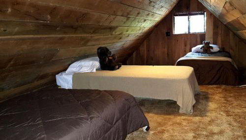 Family-Friendly Cabin Rental Nestled Among the Mountains of Champion, Pennsylvania - Foto 4