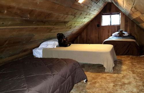 Family-Friendly Cabin Rental Nestled Among the Mountains of Champion, Pennsylvania - Foto 4