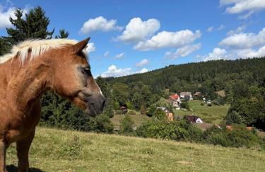 Landhaus Sommerberg - Foto 35
