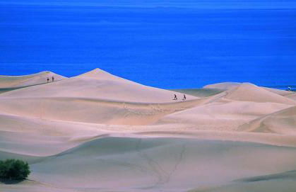 Oasis Playa Maspalomas - Foto 16