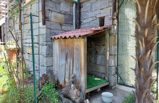 Cherry Tree House Family Friendly - Photo 35