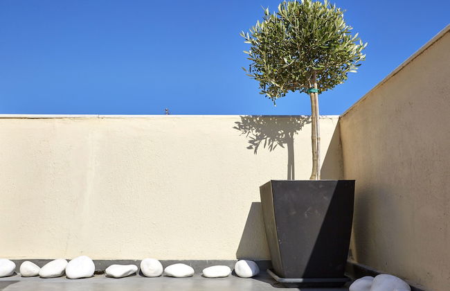 Le Blanc Suite - Photo 60