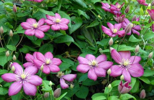 Holiday apartment with 1 bedroom - Foto 31