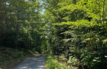 PLANINSKI MIR Rukavine - Foto 36