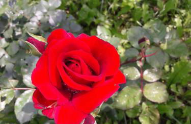 A fine 2 bedroom stone house in Emila - Photo 47