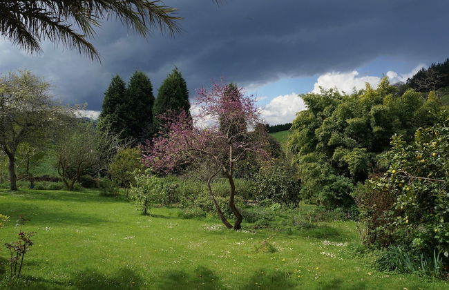 Apartamentos La Collada - Photo 41