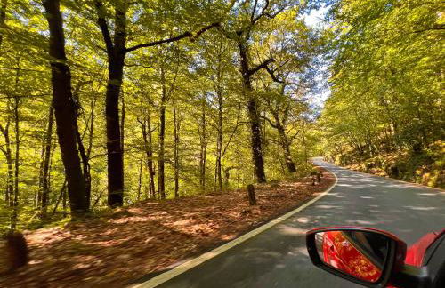 Refúgio do Vidoeiro - Foto 17