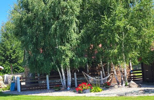 Mazurska Sosenka - Foto 22