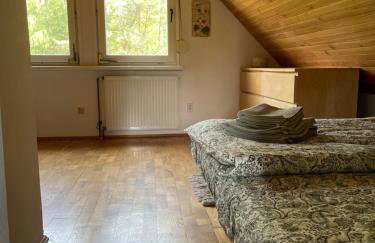 Kaszubski Zakątek Niesiołowice - Foto 30