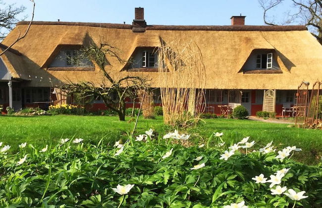 Wegekaten - Ferienwohnungen unter Reet - Foto 1