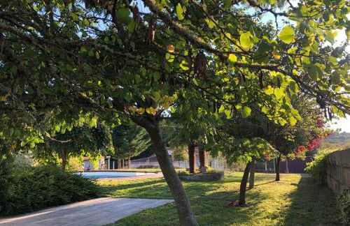 A PORTELA - Pereiro de Aguiar - Foto 10