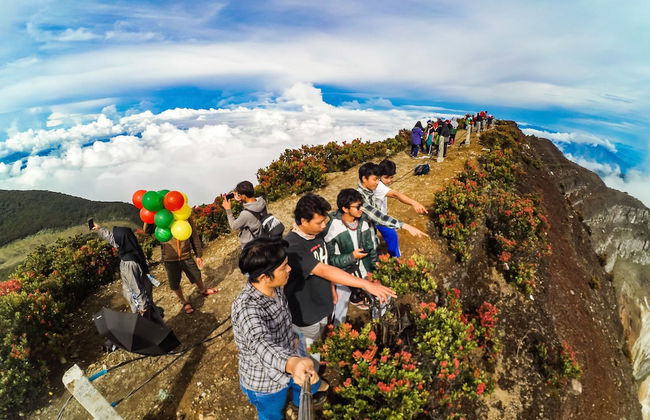 Homestay Sembiring Puncak - Photo 23
