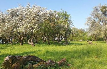 Ferienwohnung "Backsteinhaus Starkow" - Foto 12