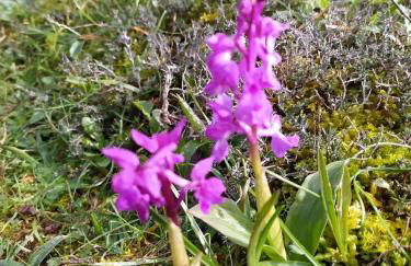 Retiro Da Avo Lídia - Turismo Rural - Foto 62