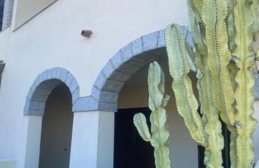 Stella di Mare - Foto 15