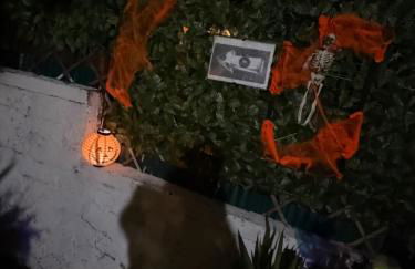 Home Diamond - Photo 9