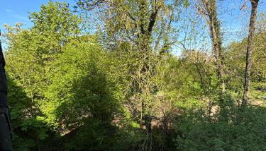 Ferienwohnung direkt an der Lahn - Foto 4