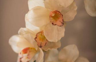 The Fairways - Foto 7