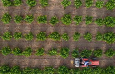 Aneli Luxury Villas - Villa Semeli - Foto 48