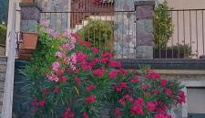 Home Iseo Lake - Photo 3