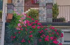 Home Iseo Lake - Photo 3