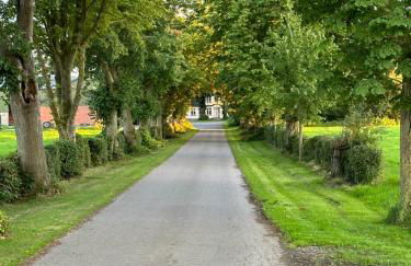 Ostseeblick - Foto 22