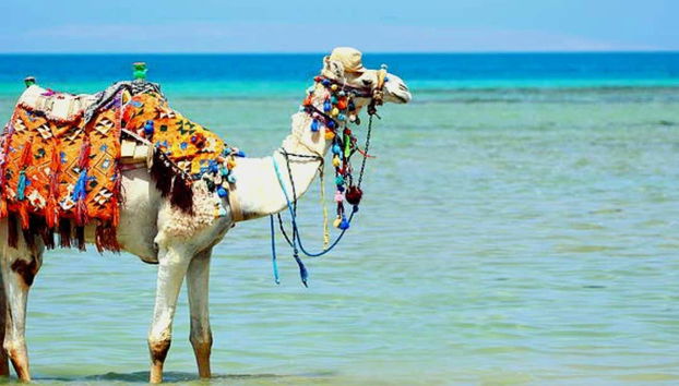 Uma imagem típica da lagoa de Djerba