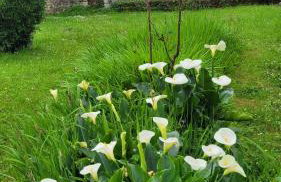 Evasion Pyrénéenne - Foto 11