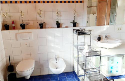 Cornelia Kolpak-Krieger - Foto 16