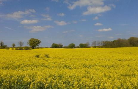 Holiday Home Schleiblick - Foto 30
