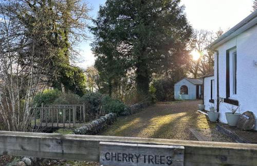 Cherry Trees - Foto 19