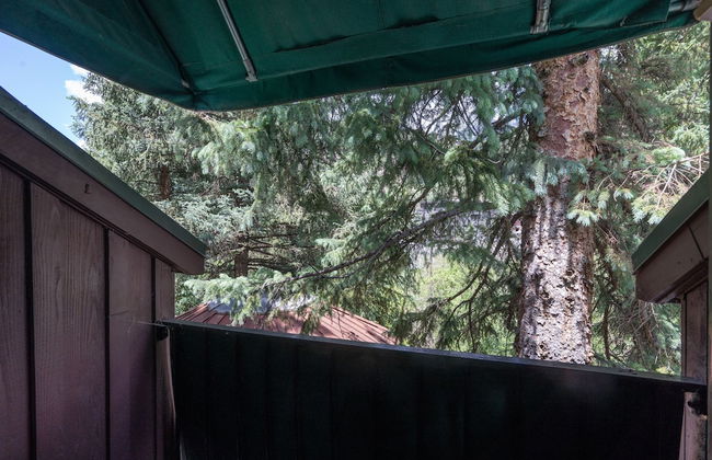 Manitou Lodge 11 Hotel Room by Alpine Lodging Telluride - Foto 6