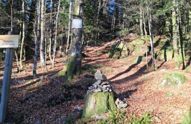 Chalet Le Belvédère, vue exceptionnelle dans les Hautes Vosges - Foto 49