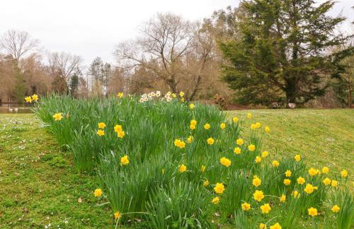 Woodpeckers - Photo 32