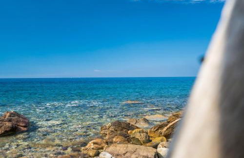 Azienda Agricola Club Le Cannelle - Foto 62