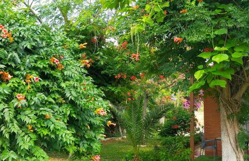 Precioso chalet próximo a Sevilla con jardín y piscina privada 8 personas Wifi gratis 2 salones 4 dormitorios 2 baños - Foto 60