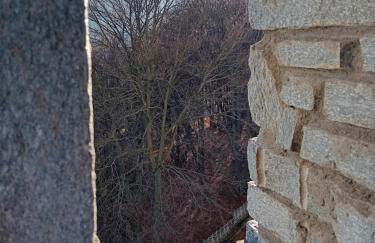 Panoramic Eagle - Photo 27