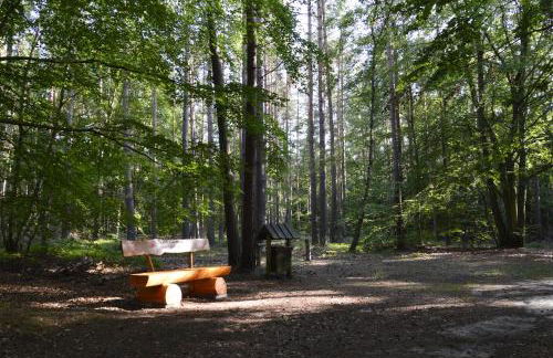 Ferienwohnung Kleine Auszeit - Foto 21