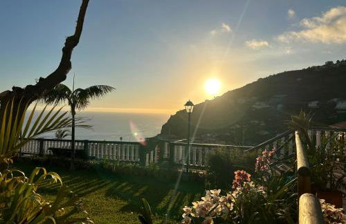 Tropical Garden - Photo 8