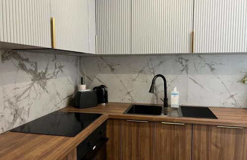 Family & Business Sauna Tężnia Apartments No18 Leśny nad Zalewem Cedzyna -1 Bedroom with Private Sauna, Bath with Hydromassage , Terrace, Parking, Catering Options - Foto 61