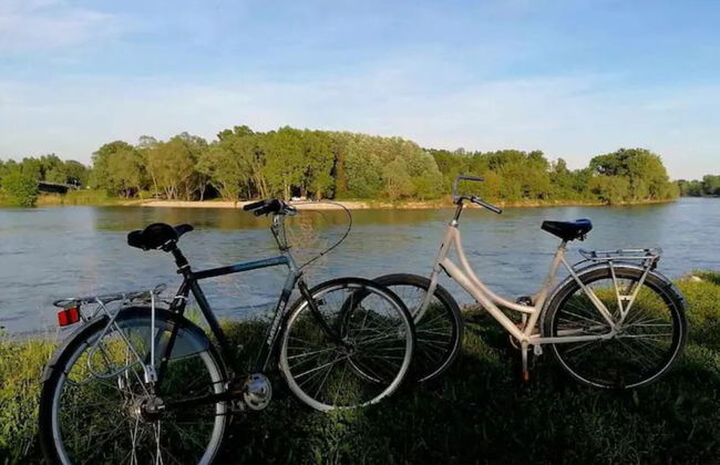 Holiday Home Drava Life - Foto 15