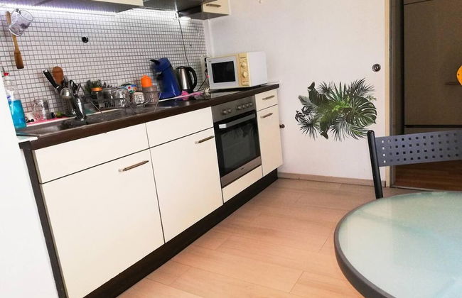 Vacation Apartment Near The Black Forest - Foto 4