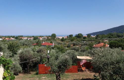 Nestor Apartments - Foto 35