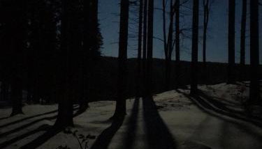 Dziewięćsił-domek w górach - Foto 2